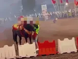 مصرع فارس شاب خلال عرض لـ"التبوريدة"